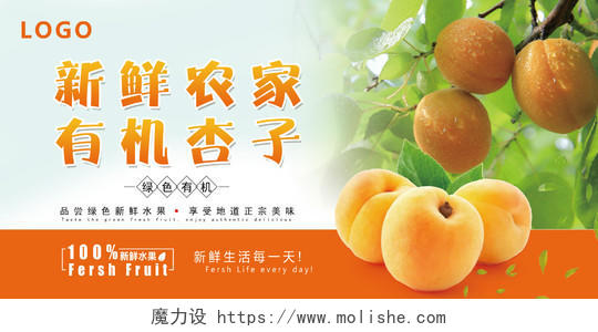 新鲜农家杏子采摘黄杏展板绿色无污染水果海报